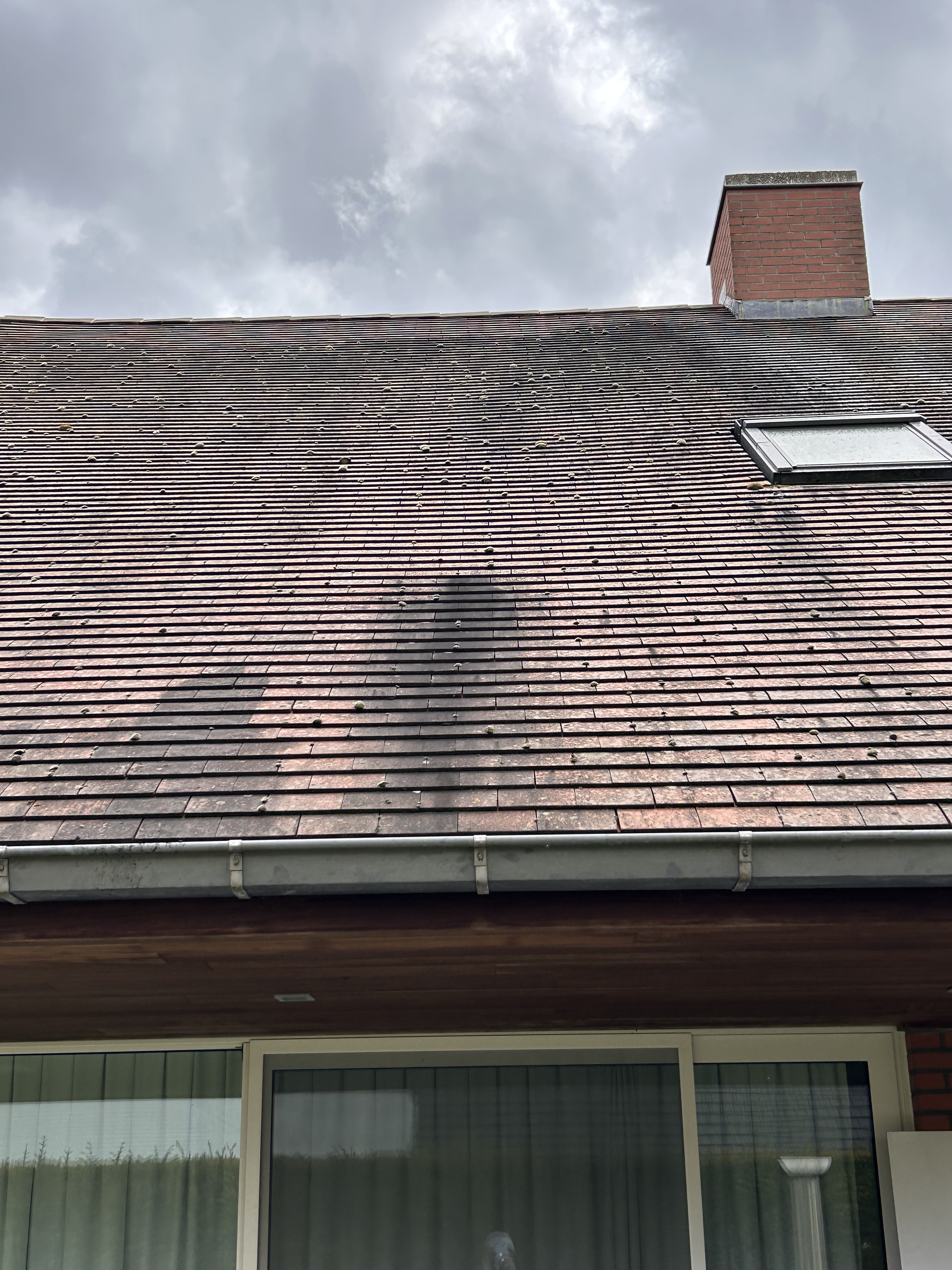 Nettoyage toiture - Avant